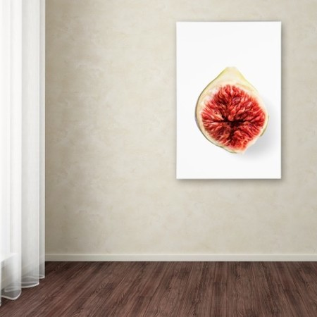 Trademark Fine Art Johanna 'Fig In Half' Canvas Art, 12x19 1X00891-C1219GG